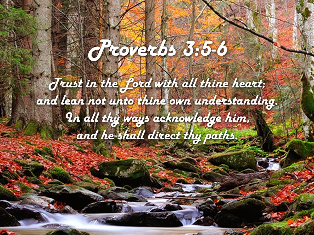 Proverbs 3:5-6 Trust in the LORD with all thine heart; And lean