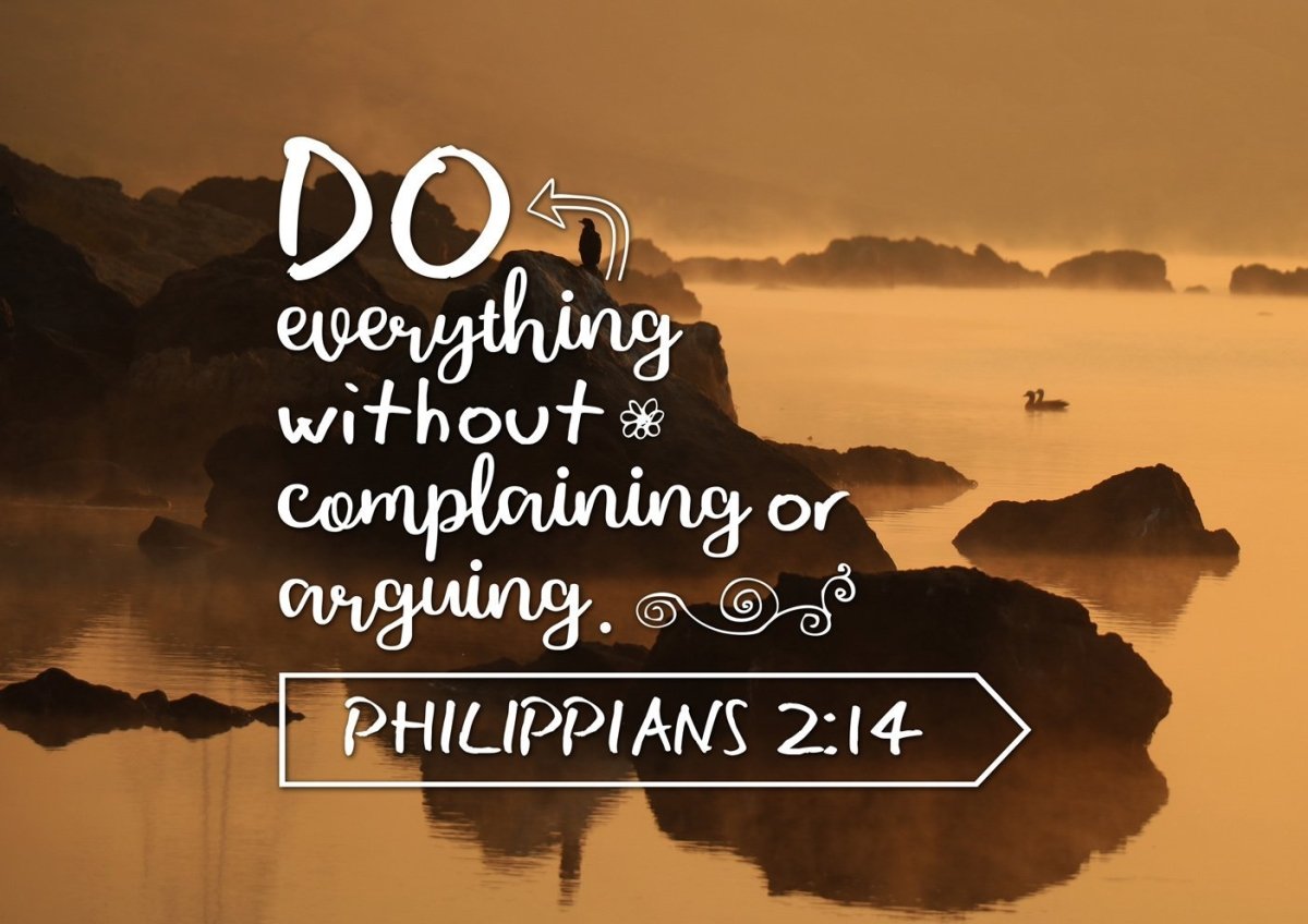 Philippians 2:14 Canvas Wall Art Print - Christian Walls